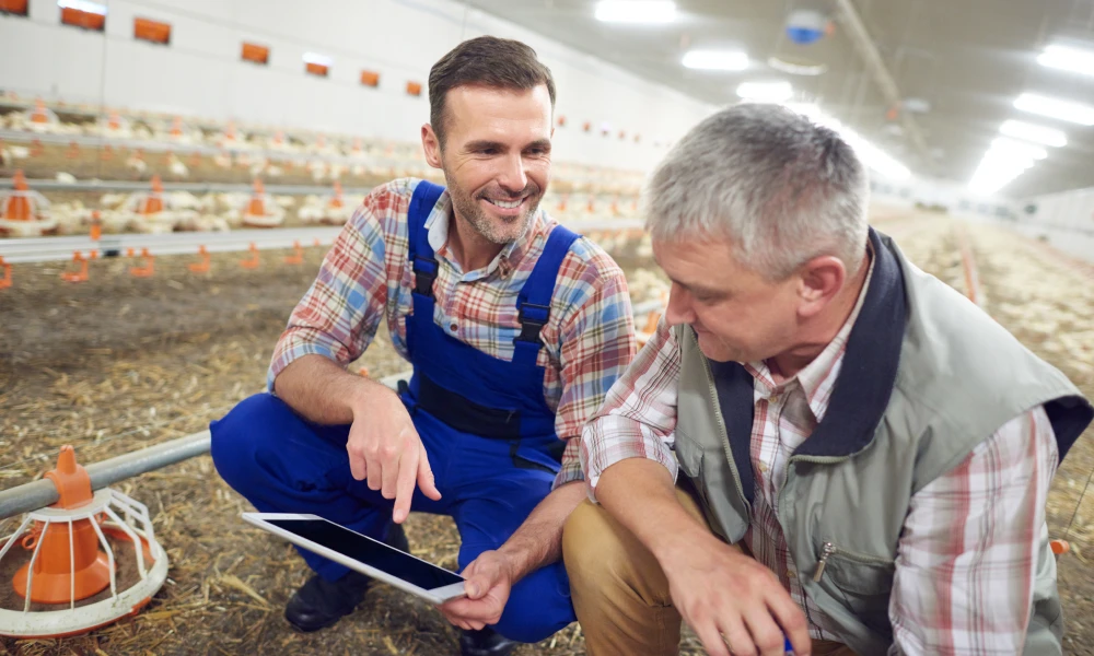 Poultry ERP Software in India